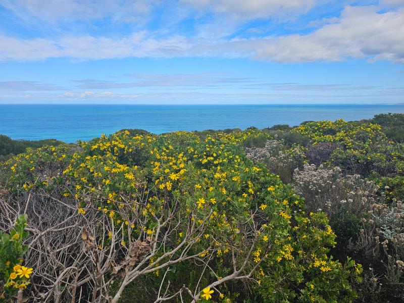0 Bedroom Property for Sale in Village On Sea Western Cape